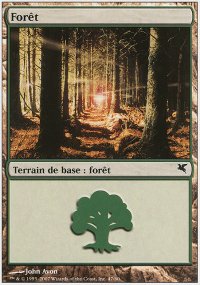 Forest 17 - Salvat / Hachette 2005