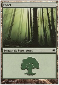 Forest 46 - Salvat / Hachette 2005
