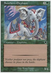 Southern Elephant - Starter