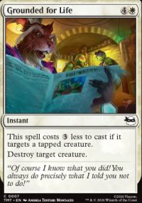 Grounded for Life - Teenage Mutant Ninja Turtles