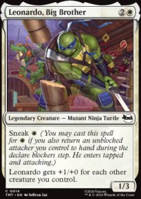 Leonardo, Big Brother - Teenage Mutant Ninja Turtles