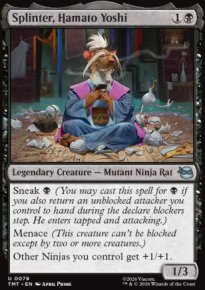 Splinter, Hamato Yoshi - Teenage Mutant Ninja Turtles