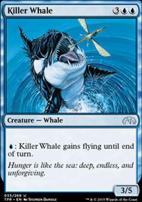 Killer Whale - Tempest Remastered