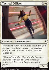 Tactical Officer - Star Trek