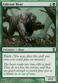 Ashcoat Bear - Time Spiral