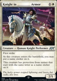 Knight in ________ Armor - Unfinity