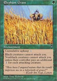 Elephant Grass - Visions