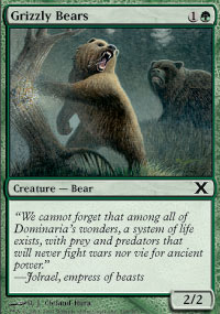 Grizzly Bears - 10th Edition