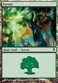 Forest 6 - Zendikar