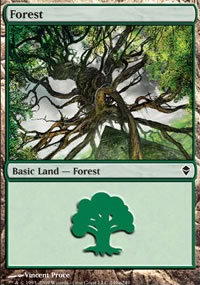Forest 8 - Zendikar